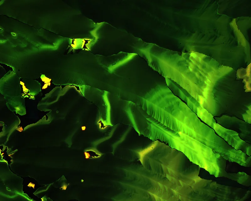 Textured crystalline films of tetracene on glass, viewed with polarised-light microscopy.